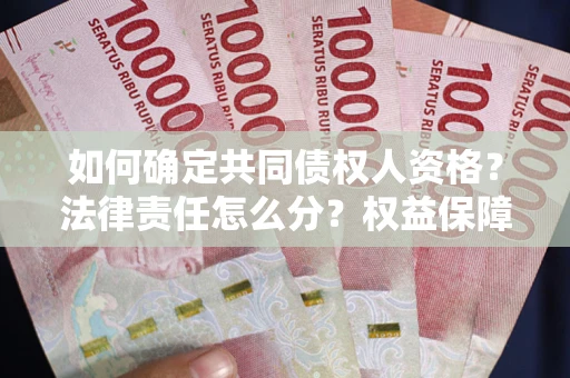 武汉如何确定共同债权人资格？法律责任怎么分？权益保障技巧揭秘！