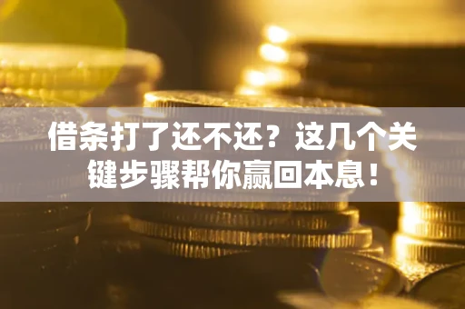武汉借条打了还不还？这几个关键步骤帮你赢回本息！