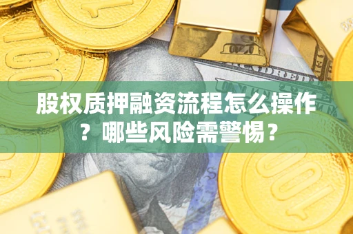 武汉股权质押融资流程怎么操作？哪些风险需警惕？