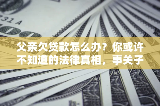 武汉父亲欠贷款怎么办？你或许不知道的法律真相，事关子女未来