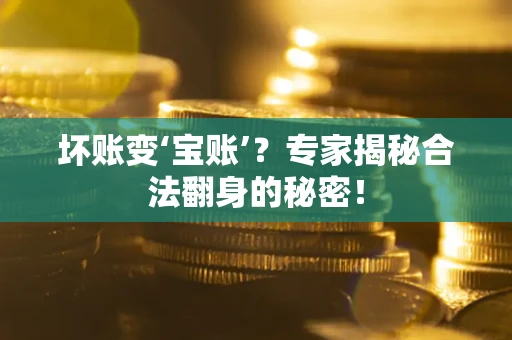 武汉坏账变‘宝账’？专家揭秘合法翻身的秘密！