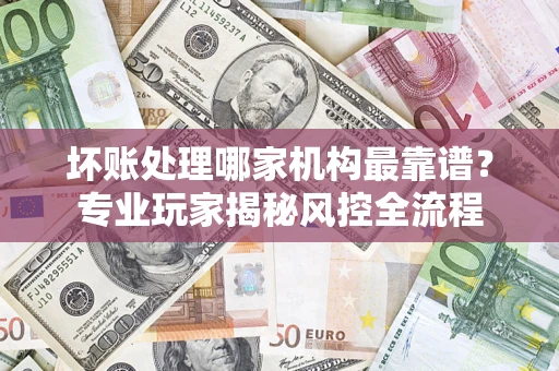 武汉坏账处理哪家机构最靠谱？专业玩家揭秘风控全流程