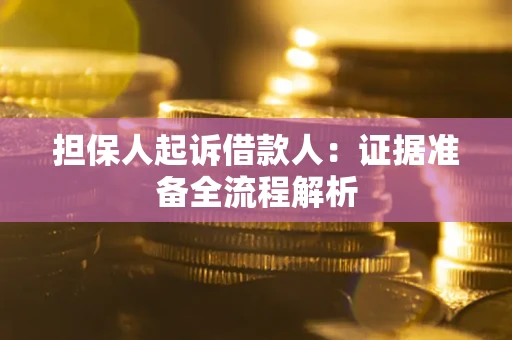 武汉担保人起诉借款人：证据准备全流程解析