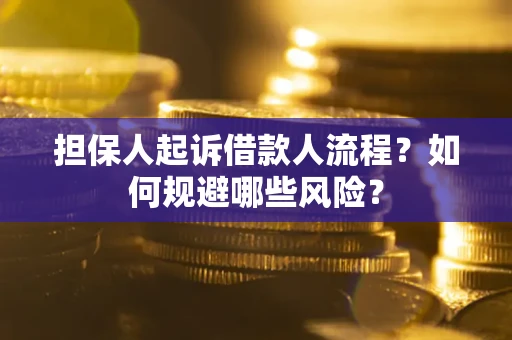 武汉担保人起诉借款人流程？如何规避哪些风险？